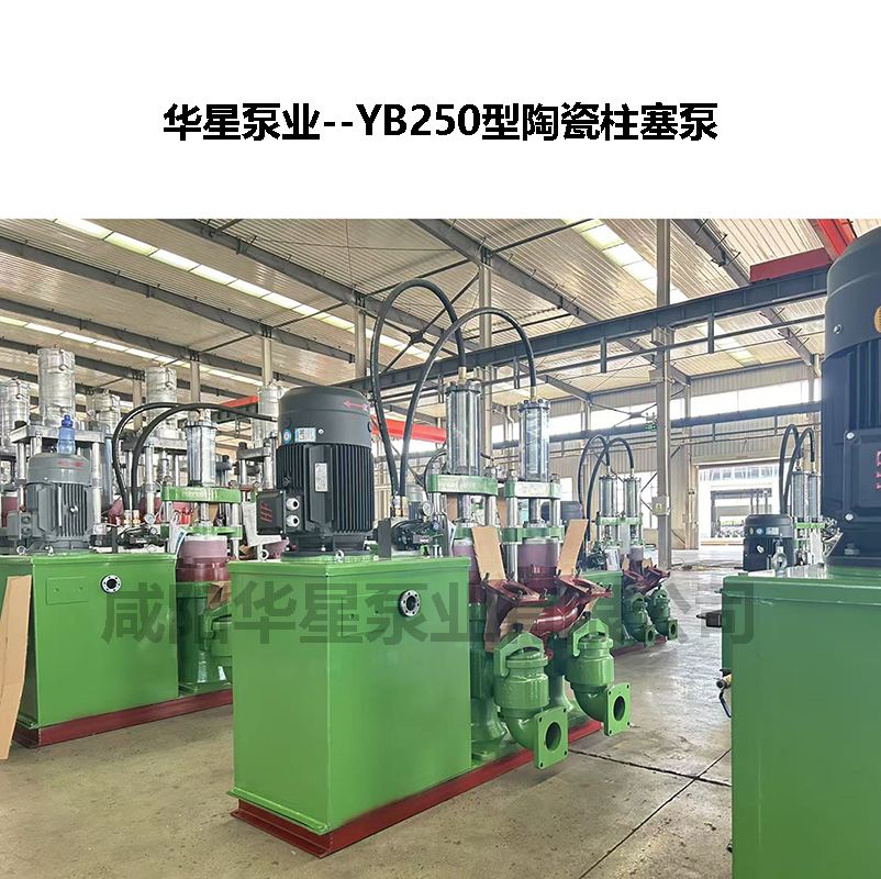 YB250節能型陶瓷柱塞泵-02